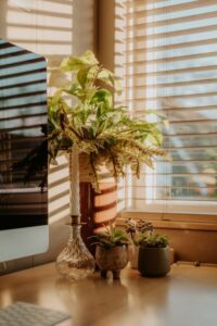resized_118366